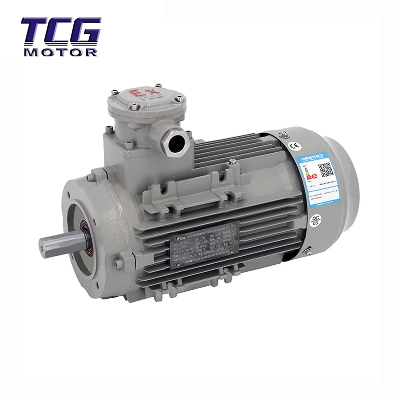 Ex d IIC T4 robbanásbiztos motor B14 kis karima