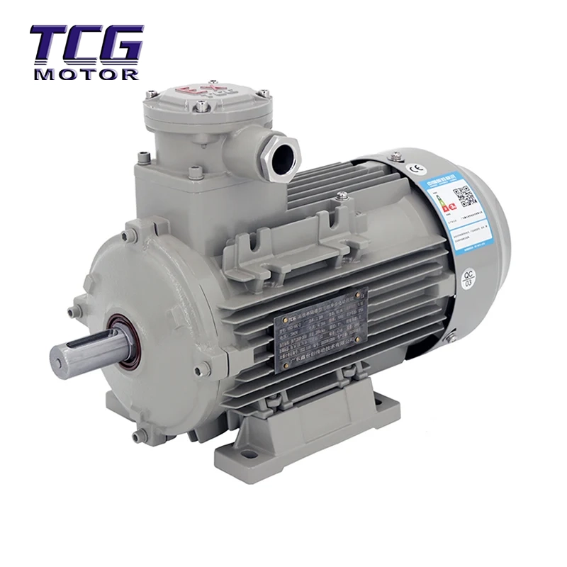 Ex d IIC T4 robbanásbiztos motor B3 rögzítés