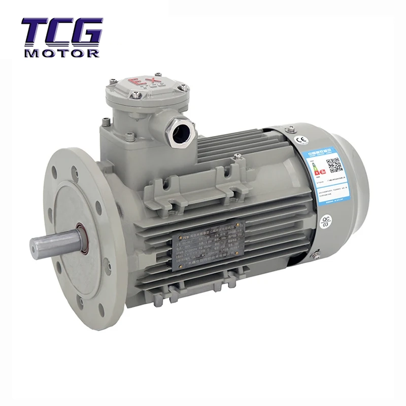 Ex d IIC T4 robbanásbiztos motor B5 karimára szerelve